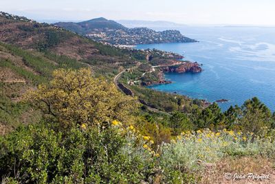 Esterel