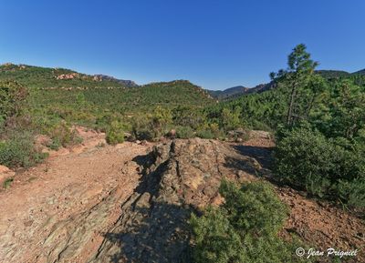 Esterel