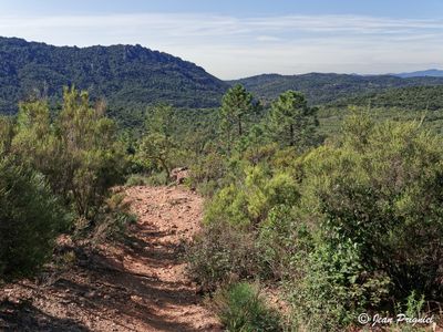 Esterel