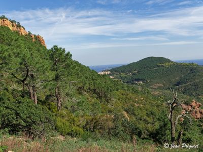 Esterel