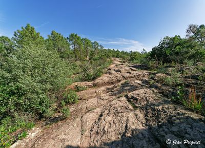 Esterel