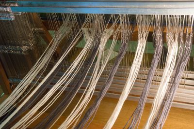 Warp threads