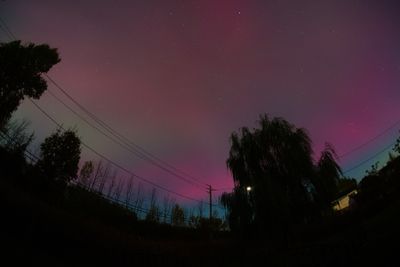 DSC03608.jpg