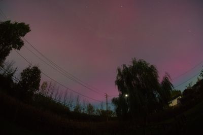 DSC03609.jpg