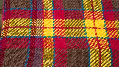 No. 15; Playing with plaid