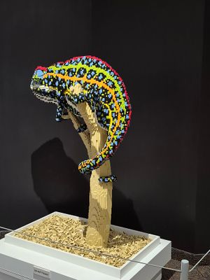 20250320_121926.jpg