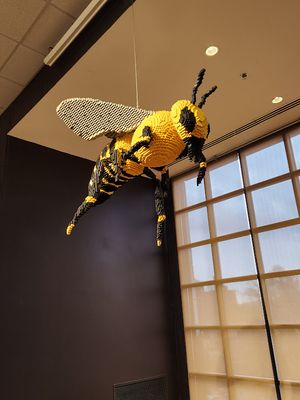 20250320_123005.jpg