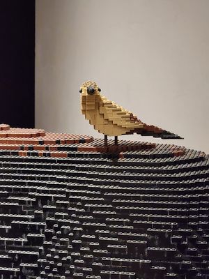 20250320_132149.jpg