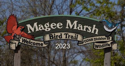 magee_marsh_2023
