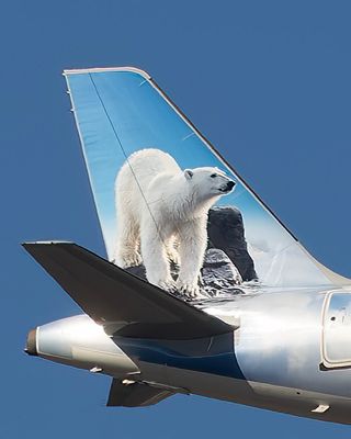 Klondike the Polar Bear F653FR