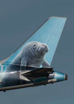 Hugh the MANATEE F 642