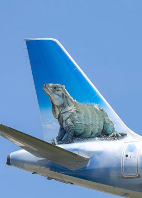 frontier_airlines_graphics