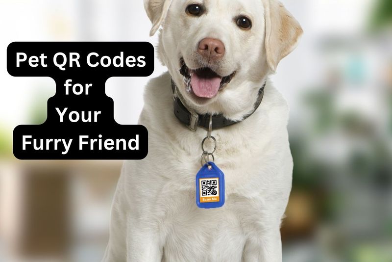 Pet QR Codes.jpg