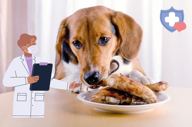 Home remedies for dog who ate chicken bones.jpg