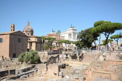 A week in Roma, Foro Romano.