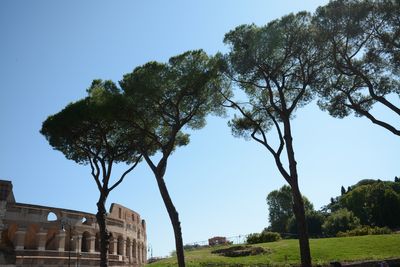 A week in Roma, Colosseo.