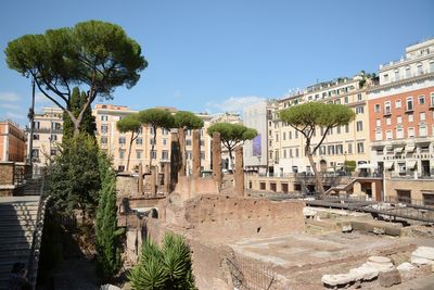 A week in Roma, Largo di Torre Argentina