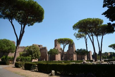A week in Roma, Terme di Caracalla.