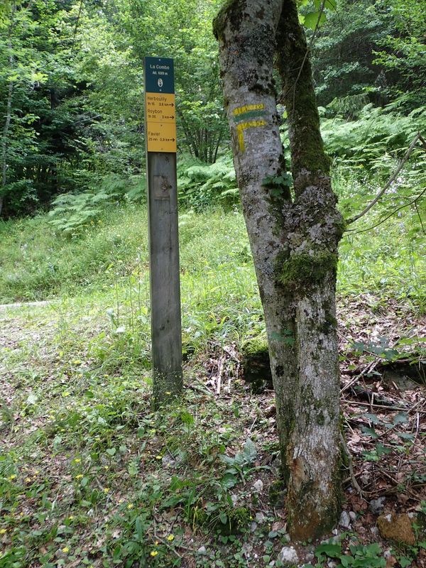 Signpost