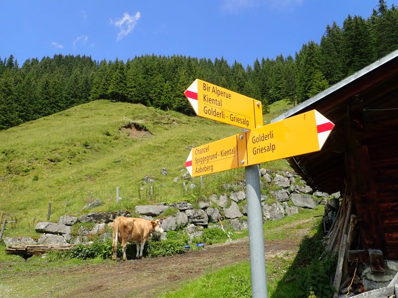 Barn with signpost