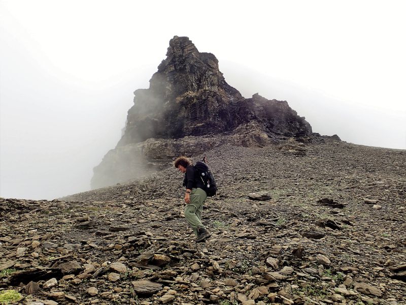 Approaching peak