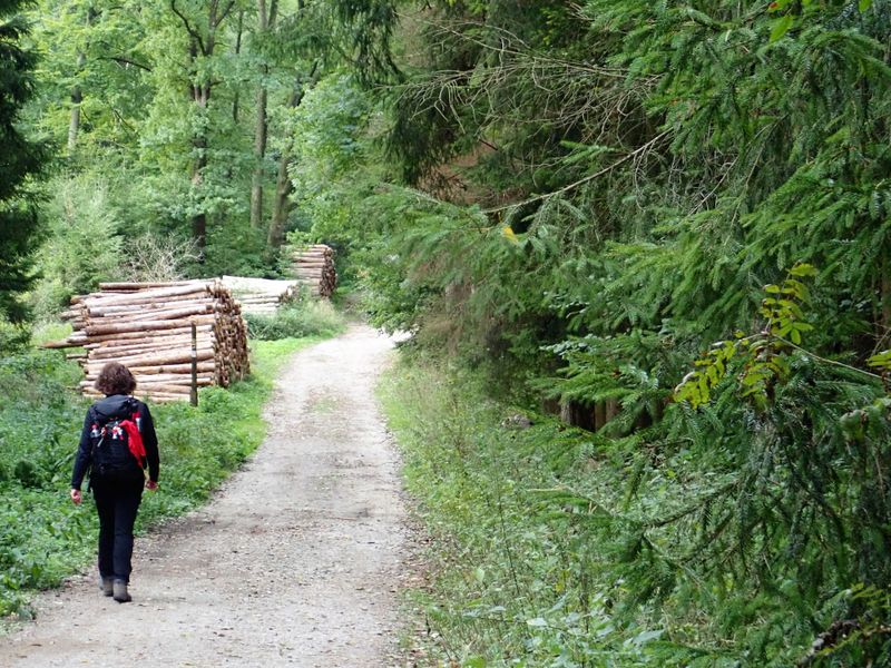 Stage 8: At the start