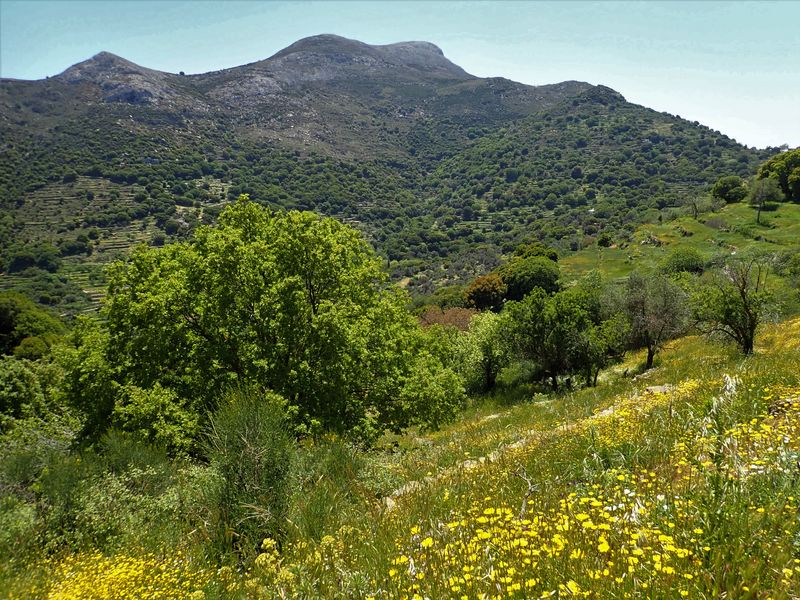 Mount Zas