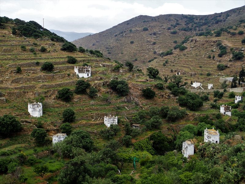 Many pigeon houses