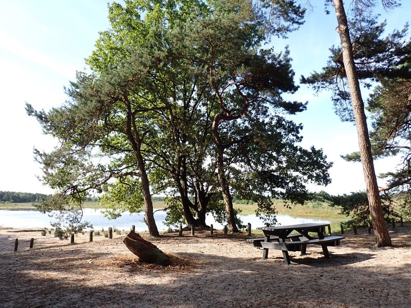 Stage 14: Withollandven