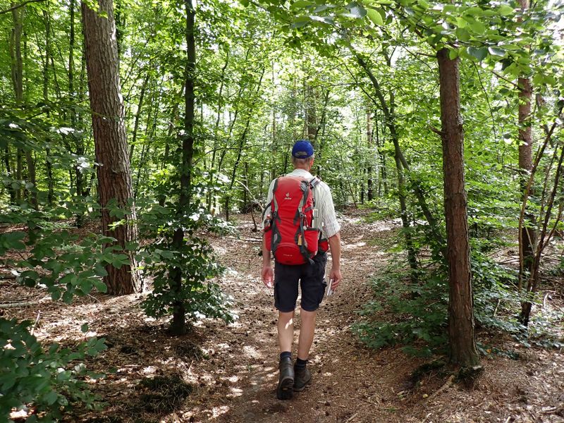 Stage 16: Hiking along