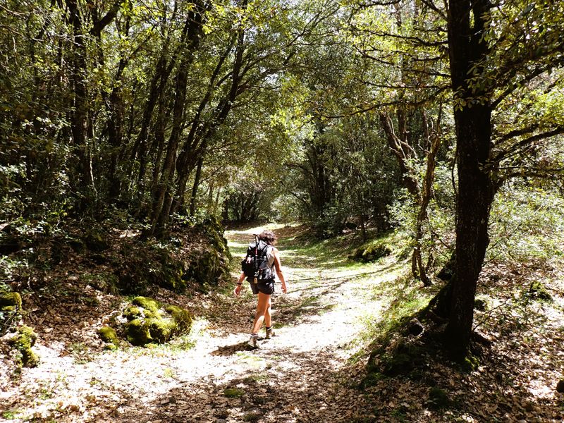 Winding path