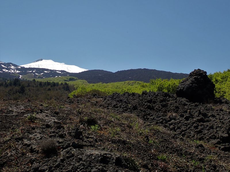 Lava landscape