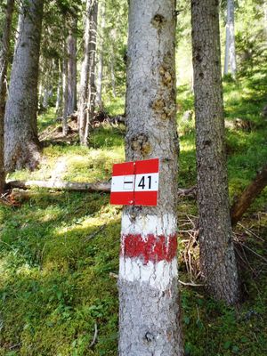 Trail marker