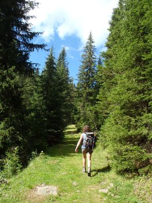 Hiking along