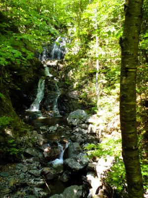 Hidden falls