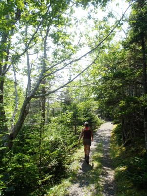 Le Chemin du Buttereau