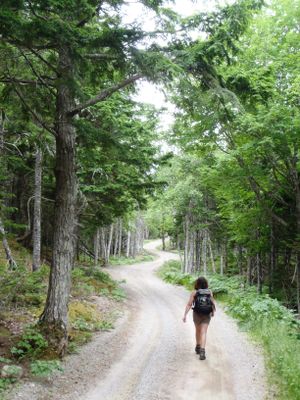 To the trailhead