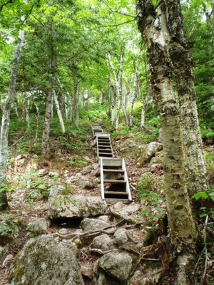 Wooden stairs