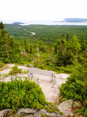 Bench with a view