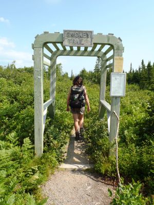 Through the gate