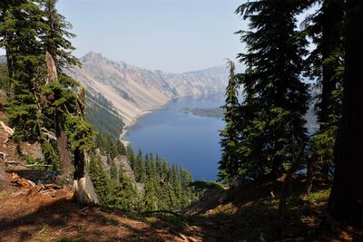 Lake and trees