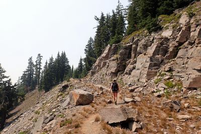 Along the rock wall