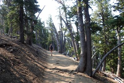Follow the trail
