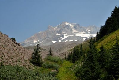 Mount Hood