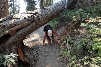 Crawling