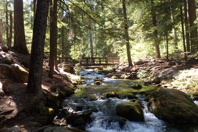 Footbridge