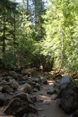 Afternoon stroll