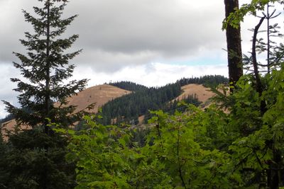 Mountain view
