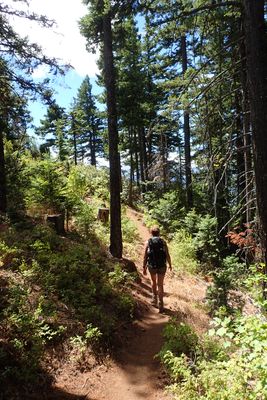 Surveyors Ridge Trail