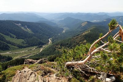 Mountain vista